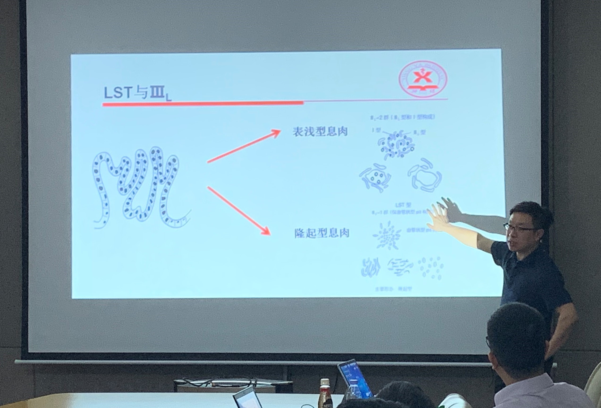 黄7.jpg