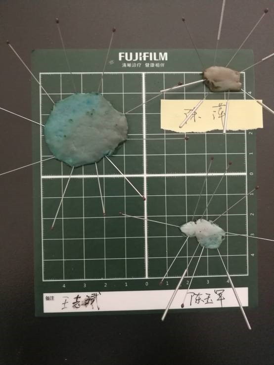 标不11.jpg