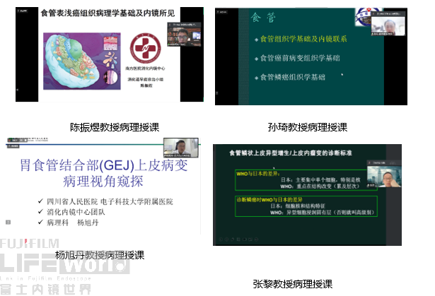 病理.png